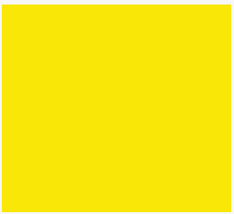 Yellow 13 
