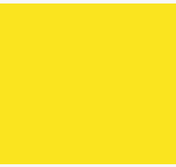 Yellow 14 