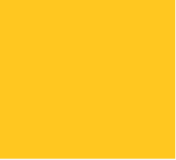 Yellow 83 