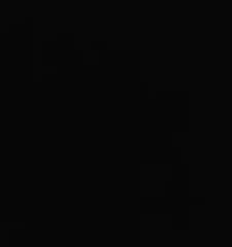 Fine Pigment Black (77266) 