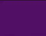 Violet (51319) 